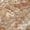 Paprika, variant on Addison Rugs Chantille Indoor/Outdoor Transitional Abstract Celery Machine Washable Rectangle Rug, 10' x 14'