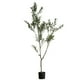 thumbnail image 1 of Árbol Artificial de Olivo, Planta Sintética para Decoración de Interiores (180CM), 1 of 5