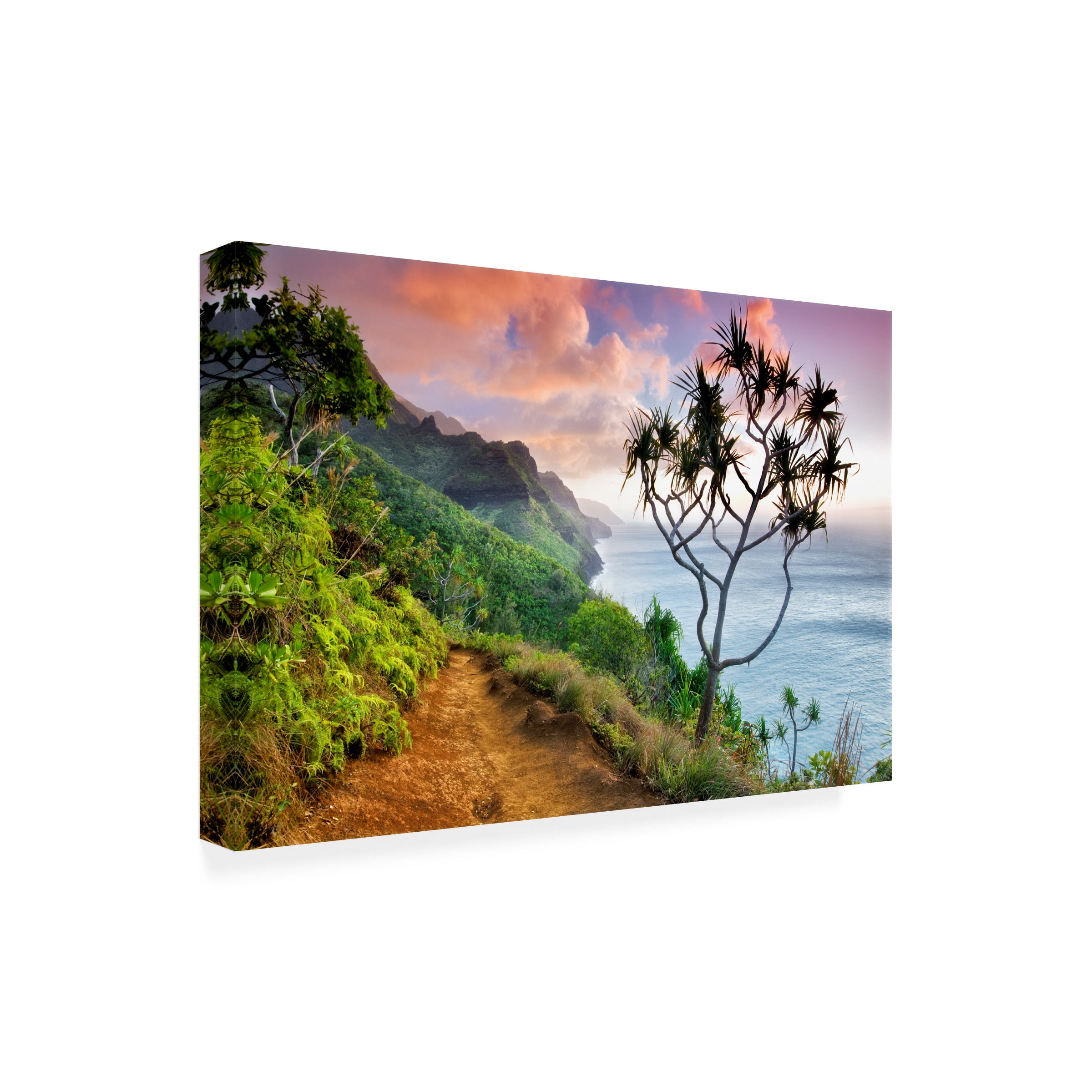 Dennis Frates 'Napali' Canvas Art