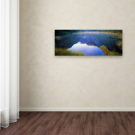 Trademark Fine Art