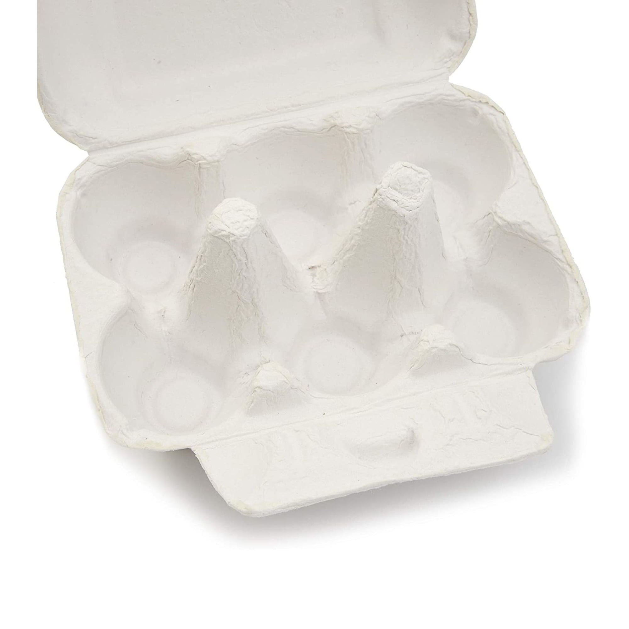 AYAYGD 40 Pack Plastic Egg Cartons Cheap Bulk,1 Dozen Clear Empty