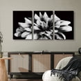 thumbnail image 3 of wall26 Canvas Print Wall Art Set Black &amp; White Chrysanthemum Flower Floral Botanical Photography Realism Rustic Scenic Dramatic Grayscale Dark for Living Room, Bedroom, Office - 16"x24", 3 of 6