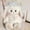 Lilian Rabbit [Neck Warmer + Hat], variant on Lolita Style Bunny Plush Toy, Soft White Rabbit Stuffed Animal with Lace Bonnet