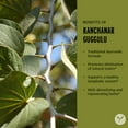 thumbnail image 6 of Banyan Botanicals Kanchanar Guggulu Tablets – Organic Lymph Supplement with Guggulu Resin – Promotes the Healthy Elimination of Natural Toxins* – 90 Tablets – Non-GMO Sustainably Sourced Vegan, 6 of 8