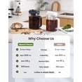 thumbnail image 2 of Cafetera Cold Brew Maestri House Compact con filtro de 1,2 L y 350 ml, 2 of 7
