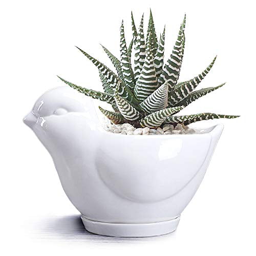 sauces multifunctional handmade ceramic Bowl for snacks cactus pot pot for plants