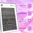 thumbnail image 2 of Extensiones de pestañas Lash Clusters IUI Beauty DIY, 196 unidades con kit, 2 of 5