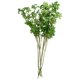 thumbnail image 1 of 6 piezas de material para ramo de bricolaje, rama de hojas verdes, exquisita decoración de plantas artificiales, 1 of 7