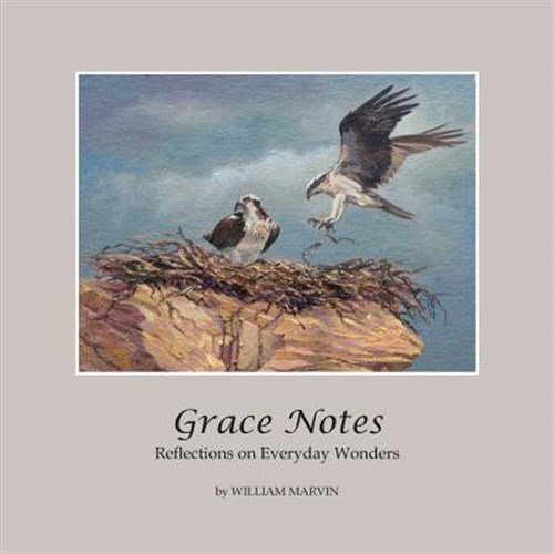 Pre-Owned Grace Notes: Reflections on Everyday Wonders, (Paperback)