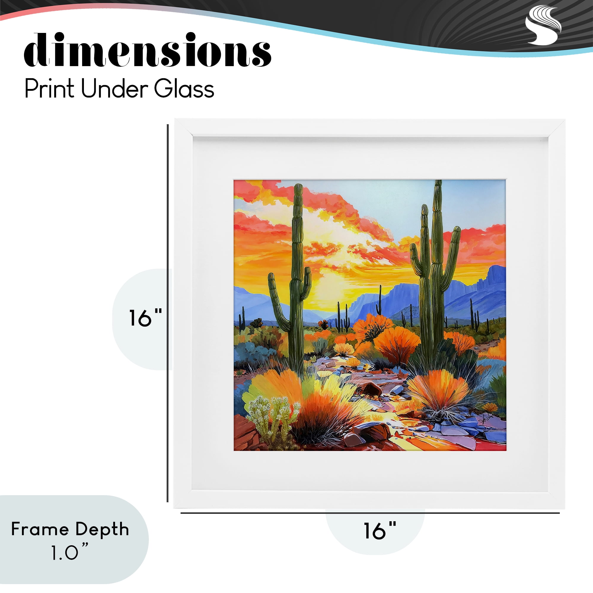 Stupell Industries Desert Splendor Cacti White Framed Print Under Glass, design by John Jaster