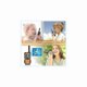 thumbnail image 5 of Walkie Talkie Rechargeable Kids Adults 2-pack, Long Range with 16 Radio Channels 2-way LCD Screen, 5 of 5