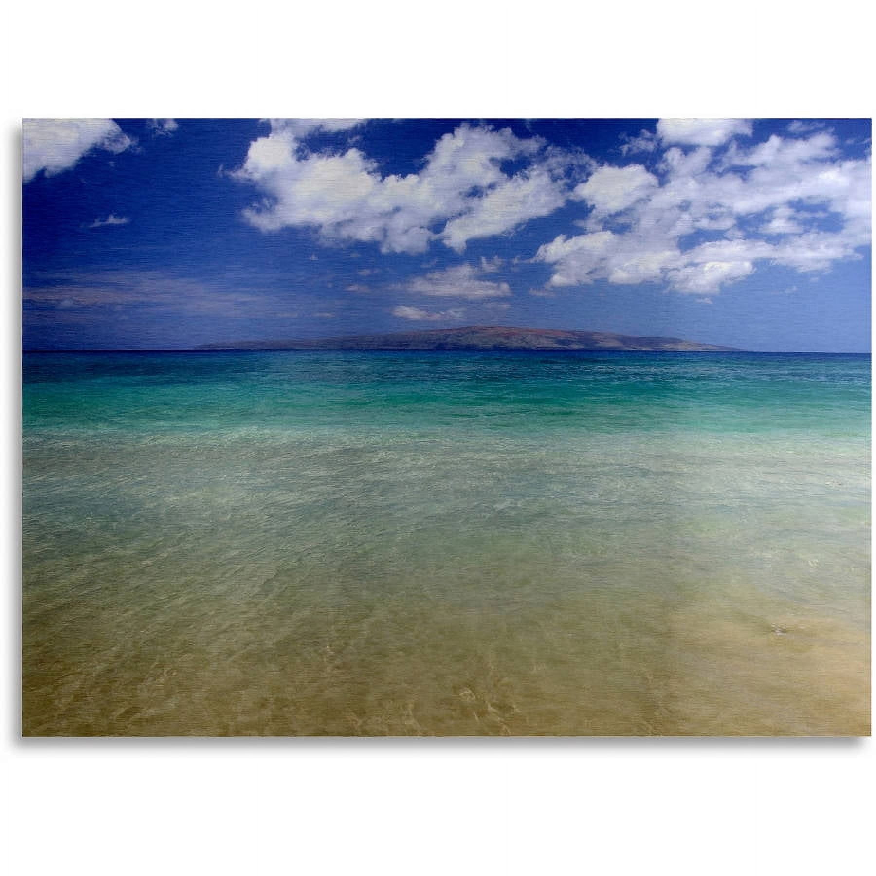 Trademark Fine Art "Hawaii Blue Beach" Brushed Aluminum Wall Art Art by Pierre Leclerc 16x22