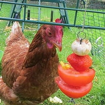 JGJJUGN Stainless Steel Chicken Hanging Feeder, Vegetable Skewer & Fruit Holder, Chicken Foraging Toy & Coop Accessory, Durable Metal Feeder for Outdoor & Indoor Chickens, Easy to Use