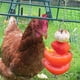 thumbnail image 1 of Comedero colgante de acero inoxidable para pollos, verduras y frutas, juguete para pollos., 1 of 6