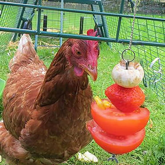 Pisexur Stainless Steel Chicken Food Vegetable Fruit Hanging Feeder Toy on Clearance