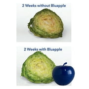 Bluapple Produce Saver Refrigerator Accessories Blue Reusable Activated Carbon