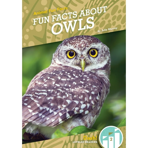 Animal Fun Facts Set 2 Fun Facts about Owls, (Hardcover)