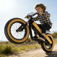 thumbnail image 6 of ET-02 Ultra Electric Bike for kids, 750W Electric Balance Bike for Kids, 16" Inflatable Tires, Up to 18.6 MPH, 36V 7.8Ah Battery, Rear Disc Brake, Lightweight Off-Road E Bike for Kids Ages 3-10, 6 of 7