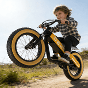 ET-02 Ultra Electric Bike for kids, 750W Electric Balance Bike for Kids, 16 Inflatable Tires, Up to 18.6 MPH, 36V 7.8Ah Battery, Rear Disc Brake, Lightweight Off-Road E Bike for Kids Ages 3-10