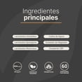 thumbnail image 4 of 60 Billones de Probióticos 3 diferentes Cepas 60 Cápsulas Veganas. Ingredientes naturales. 60 Billion Probiotics B Life. B Life cápsulas, 4 of 5