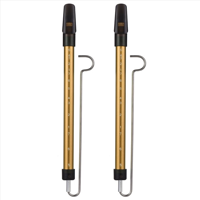 2X Metal Slide Whistle Scale Sliding Flute with Steel Sliding Rod Musical Instrument Toy for Children Flute (Gold),2 x sliding whistle 2 x yo flute,Gold