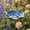 27#Blue, variant on Glazed Ceramic Pollinator Waterer with Stake, Floral Helpful Insect Bird Feeder, Weatherproof Outdoor Garden Bath Yard Ornament, Shallow Tray for Bees Butterflies Hummingbirds