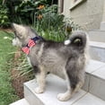 thumbnail image 3 of Bow Flag Dog Collar Adjustable Nylon Pet Collar for Dogs Cats Quick Release Safety Collar Soft Reflective Pet Accessories, 3 of 7