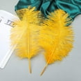 thumbnail image 4 of Big Gold Ostrich Feathers - 24Pcs 8-10inch Feathers for Crafts,Party Centerpieces Mardi Gras and Home Decor, 4 of 17