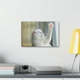 thumbnail image 4 of Funny Wild Cat Silly Wild Cat Inside Wall Art Ready to Hang Unframed, 4 of 18