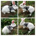 thumbnail image 2 of Fosa Rabbit Harness, Soft Rabbit Clothes, Breathable Pets For Rabbits, 2 of 8