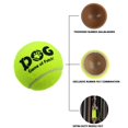 thumbnail image 4 of Pelotas de tenis para perros AMA SPORT, 6,35 cm, 56 g, paquete de 12 unidades para cachorros, 4 of 6
