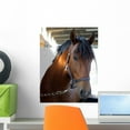 thumbnail image 1 of Horse Closeup Wall Mural by Wallmonkeys Peel and Stick Graphic (18 in H x 14 in W) WM13350, 1 of 4