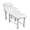 Style 2 -White＋5, variant on DIANJIE  Black Professional Massage Table with Adjustable Backrest Removable Headrest Under Storage Shelf & Memory Foam PU Leather Salon Bed