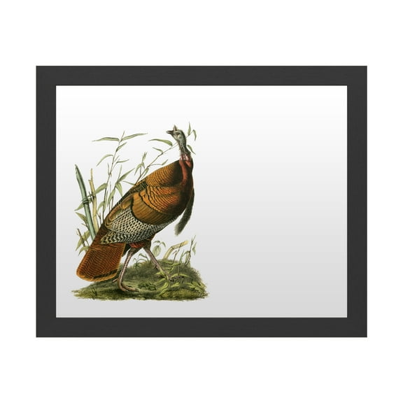 Trademark Fine Art 'Audubon Wild Turkey' Markerboard by John James Audubon