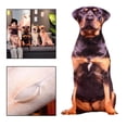 thumbnail image 4 of Animaux Chien Modèle Peluche Jeter Oreiller Noël Anniversaire Cadeaux Femmes Coussin Lavable Style D, 4 of 9
