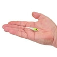 thumbnail image 2 of Berkley PowerBait® Power® Switch, 2.5 in, Lemon Head Glow, 2 of 4