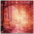 thumbnail image 2 of Trademark Fine Art Beata Czyzowska Young Enchanted Forest Canvas Wall Art - 24x24, 2 of 3