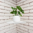 thumbnail image 4 of FOMIYES Estante Esquinero Para Pared Con Ideal Para Y Cocina, 4 of 8
