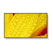 NEC MultiSync M651-2 - 65" Diagonal Class (64.5" viewable) - M Series LED-backlit LCD display - digital signage - 4K UHD (2160p) 3840 x 2160 - HDR - direct-lit LED