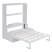 Mintazer Queen Size Murphy Bed with Sofa, Modern Foldable Wall Bed with Cushions for Bedroom Apartment Guest Room, White