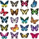 thumbnail image 5 of Inteprter Pegatinas de mariposa para ventana, adhesivos anticolisión para ventana, calcomanías reutilizables, película para vidrieras No.1 2piezas Inteprter CBP441474, 5 of 6