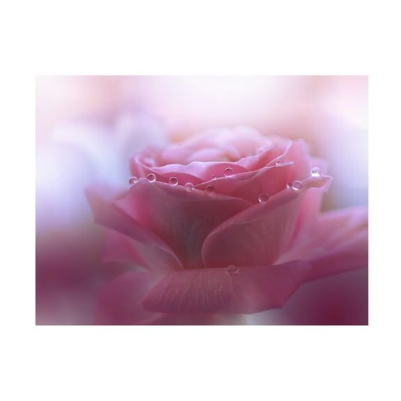 Trademark Fine Art Juliana Nan Will We Be Enough.. Canvas Wall Art