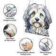 thumbnail image 3 of 89Bloom Tibetan Terrier Stained Glass Hologram Ornament, Dog Stained Glass Suncatcher Ornaments Home Decor, Dog Holographic Ornaments, 3 of 7