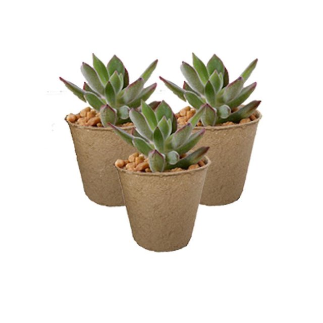 Juego De 50 Macetas De Plántulas Biodegradables, Macetas De Crecimiento De 8 Cm, Macetas De Plántulas, Cubo De Plántulas Para Semillas, Plántulas, Germinación (8 Cm, Redondas). Afortunado Sencillez