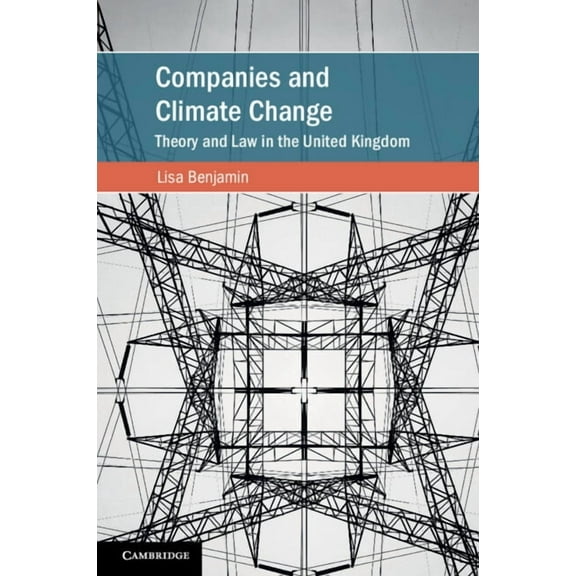 Cambridge Studies on Environment, Energy Companies and Climate Change, (Paperback)