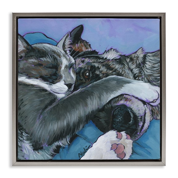 Stupell Industries Eclectic Cat & Dog Sleeping Gray Floating Frame Canvas Art, 18 x 18, by Nadi Spencer