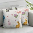 thumbnail image 3 of nygtbtfer  Pillow Colorful Bunny Couch Pillow Cases Set of 2 Spring Farmhouse Throw Pillows Home Decor for Living Room Bedroom Bed Cushion Outdoor White, 3 of 7