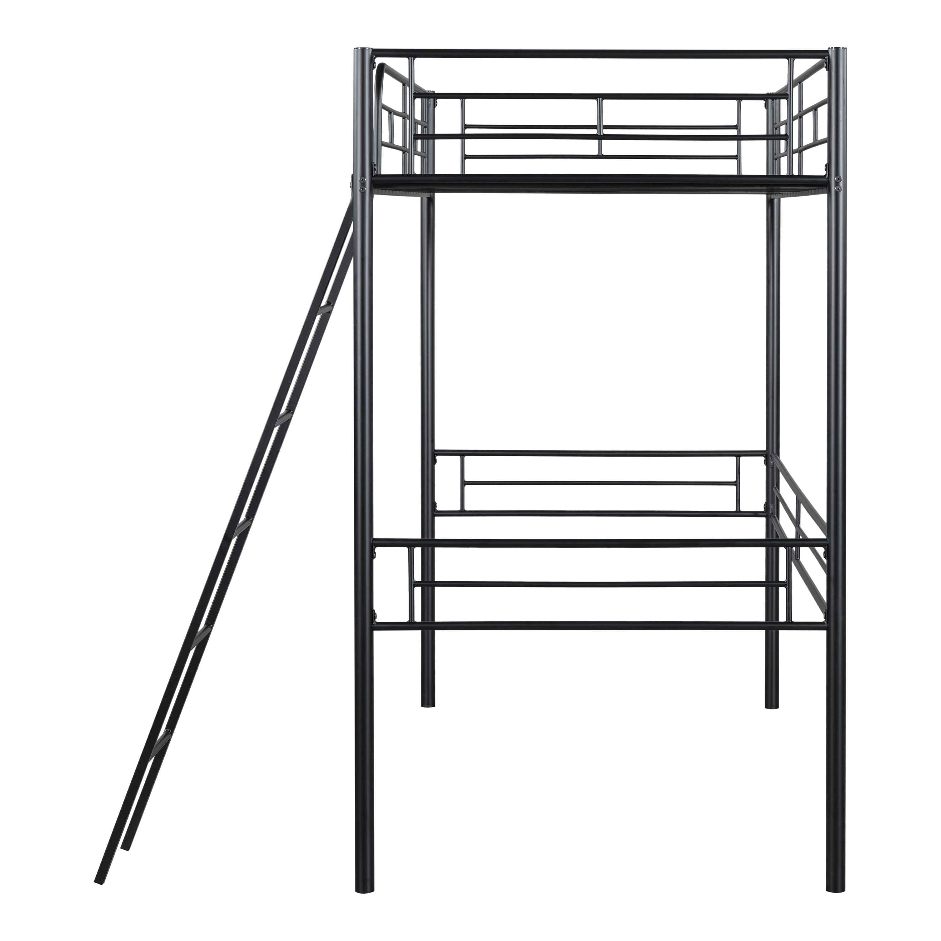 Furniture of America Amelia Kids Twin Loft Bed, Black
