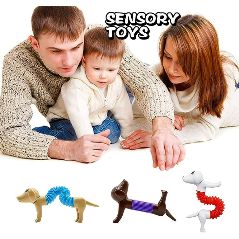 4pcs Pop Tubes Spring Dogs Stress Relief and Anxiety Reduce Spring Dog  Fidget Toy Sensory Development Fidget Antistress Dog Toys DIY Sensory  Stretch Dog Toys for Kids Adults 