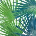 thumbnail image 3 of Pinto, Patricia 20x20 Black Modern Framed Museum Art Print Titled - Organic Blue Green I, 3 of 5